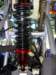 bashanbs20013_small.jpg