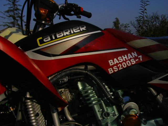 bashanbs20029.jpg